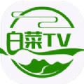 白菜TV app