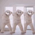 两只小熊跳舞表情包gif