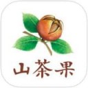 山茶果app