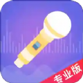 语聊音频变声器app