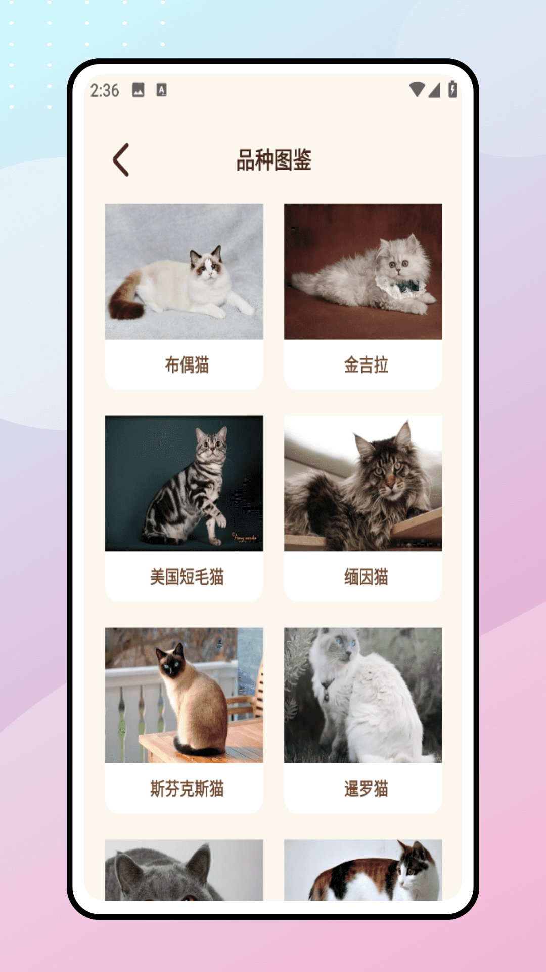 Peppycat宠物翻译器截图1